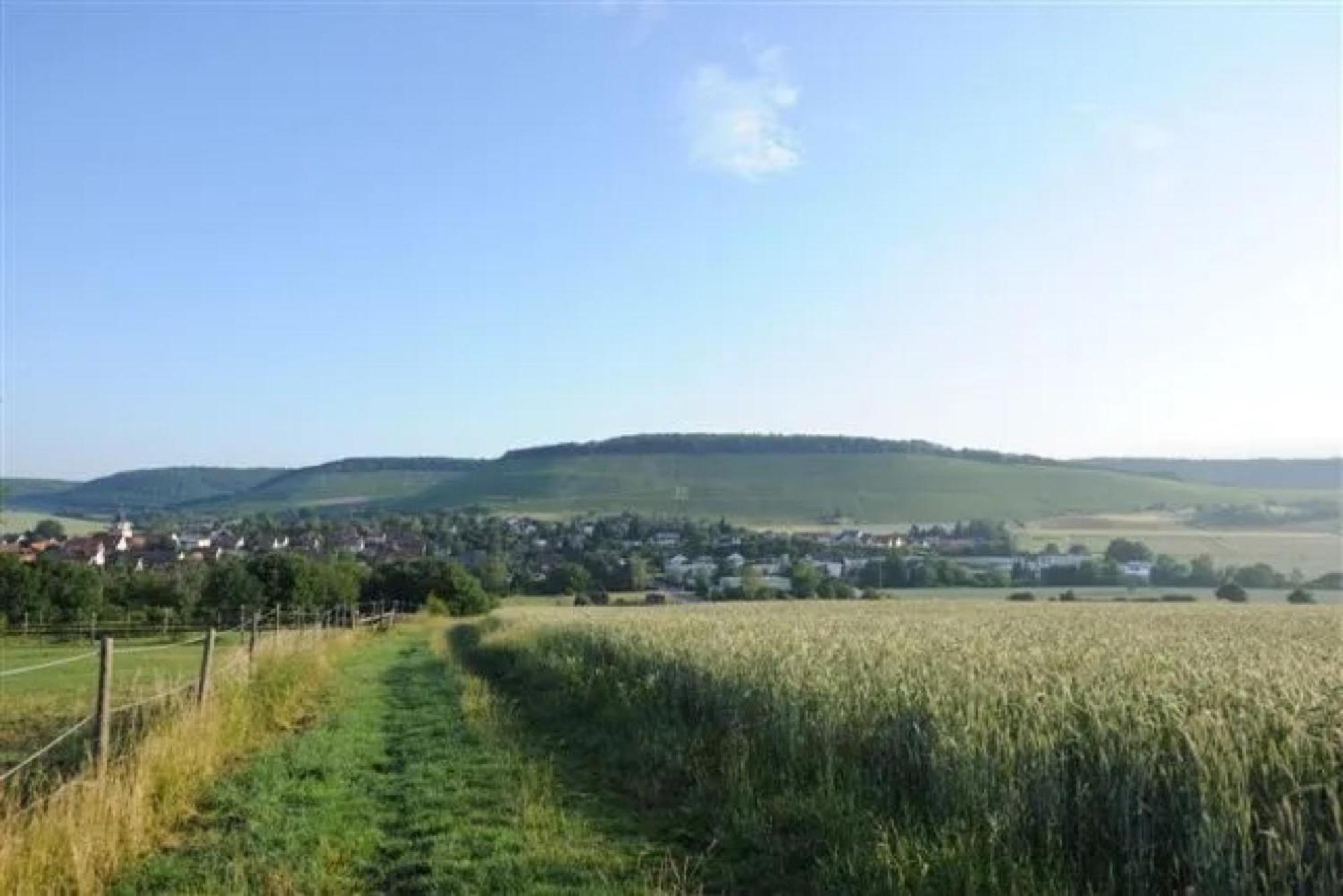 Landpension Wachtkopf Vaihingen an der Enz Exterior photo