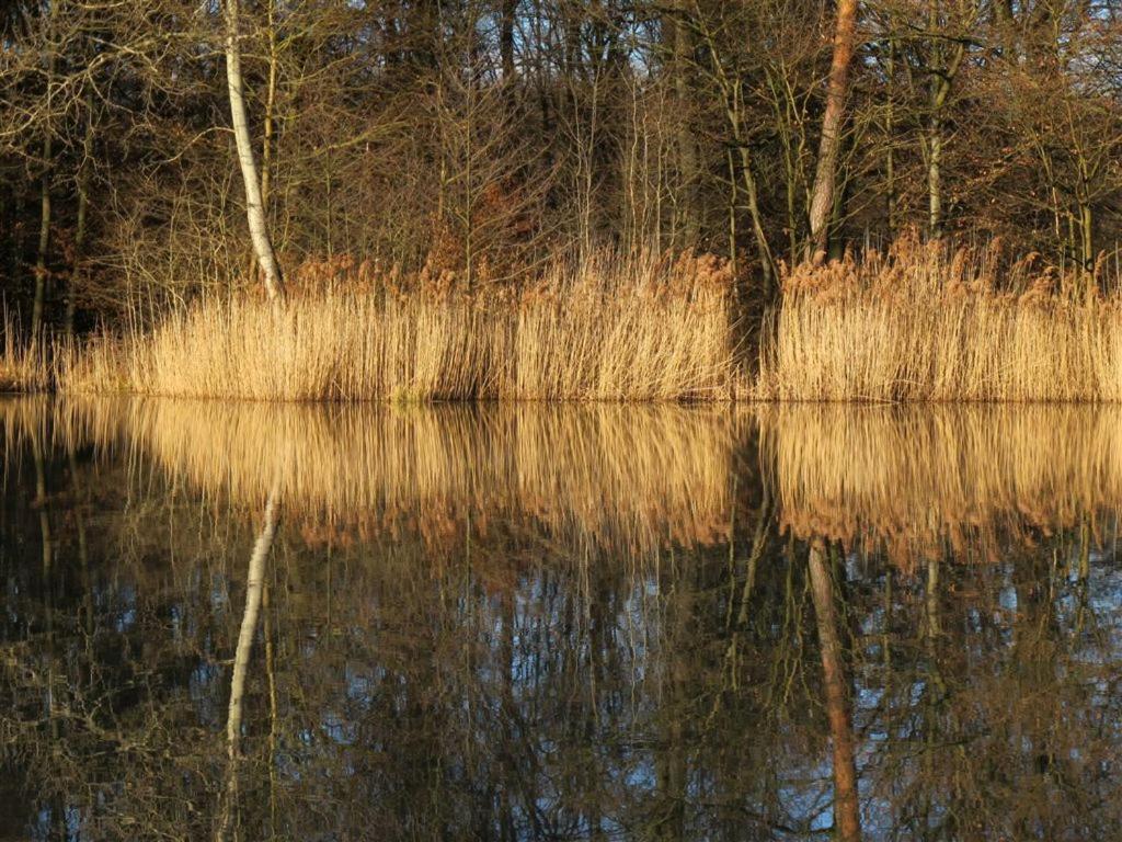 Landpension Wachtkopf Vaihingen an der Enz Exterior photo