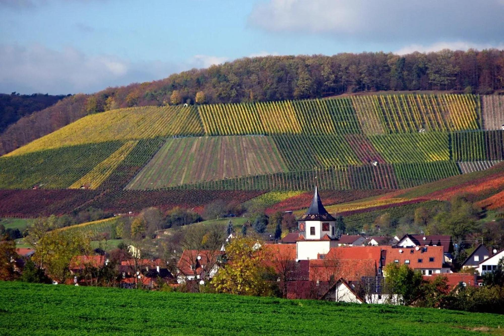 Landpension Wachtkopf Vaihingen an der Enz Exterior photo